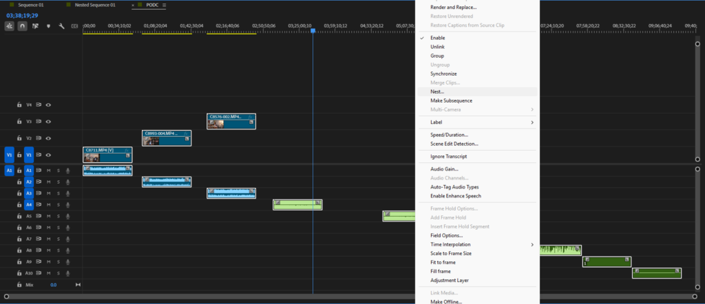 PODCAST VIDEO EDITING IN PREMIERE PRO
