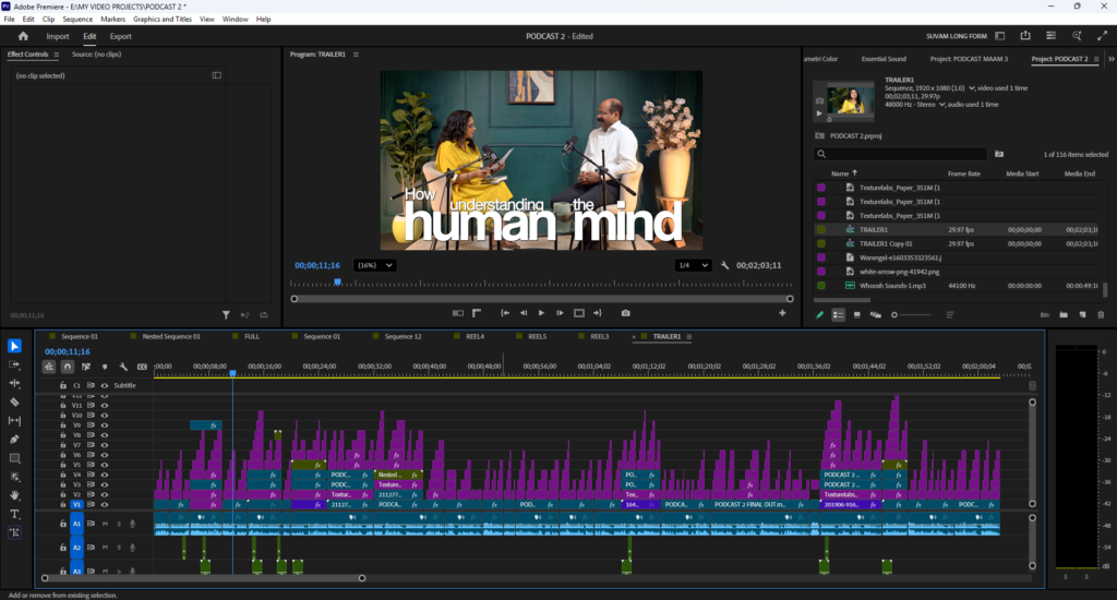 PODCAST VIDEO EDITING IN PREMIERE PRO